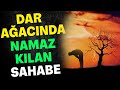 DAR AĞACINDA NAMAZ KILAN SAHABE (ibretlik hikayeler, sesli kitap, dini hikayeler, Dini videolar )