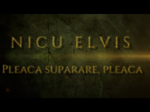 Nicu Elvis - Pleaca suparare, pleaca