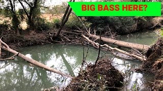 Muddy Log Jammed Creek Bass Fishing (EXCITING OF COURSE!!)