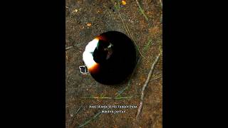 Download lagu Menakjubkan, ini tarian paling mempesona dari burung cendrawasih #shorts #burung #cendrawasih mp3