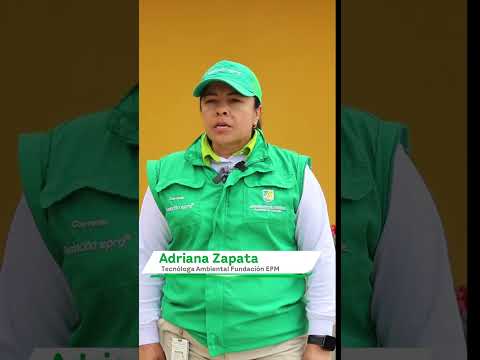 Embellecimiento del entorno, Liborina