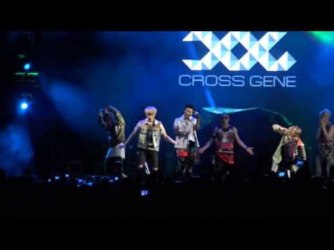 CROSS GENE   Love & Peace In Brazil