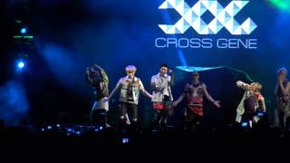 CROSS GENE   Love & Peace In Brazil