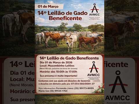 🎥 14° Leilão de Gado Beneficente AVMCC - 🎬 tvgado.com.br
