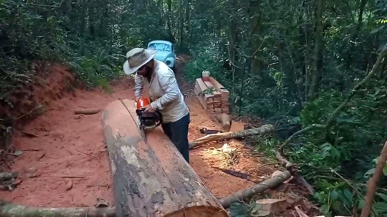 Pra mim essa é a diferença entre a Ms 462 e a Ms 460 .