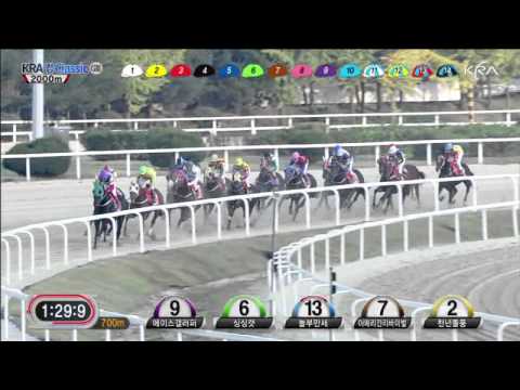 KRA Cup Classic 2012 - Sing Sing Cat