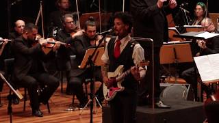 My Very Good Friend The Milkman (Paul McCartney) - Interpretado por Rodrigo Campagnolo e Orquestra