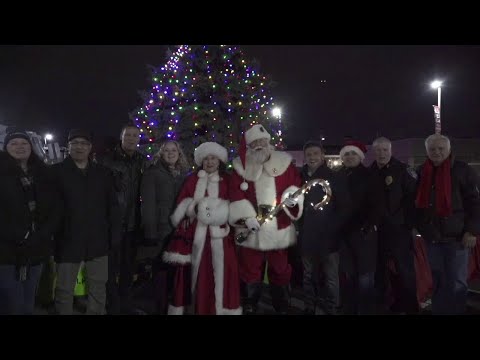 Little Ferry Tree Lighting