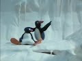 021 Pingu In The Ice Cave Avi