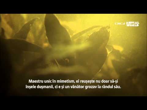 "Cei mai mari mincinosi", in 20 aprilie, pe Digi Animal World!