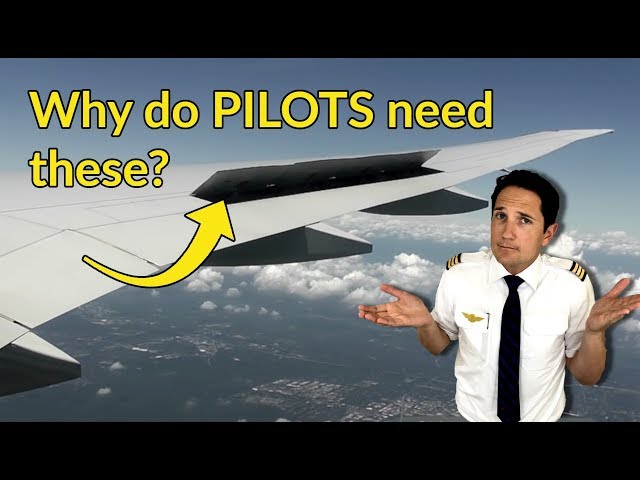 ailerons videó kiejtése Angol-ben ailerons videó kiejtése Angol-ben