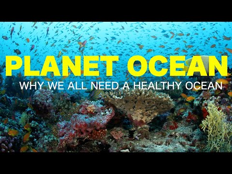 Planet Ocean Book Trailer By Patricia Newman and Annie Crawley