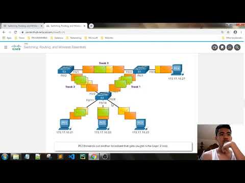 Module 5: STP Concepts Review