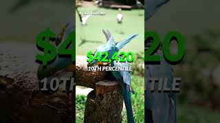 Zoology | $103,900 to study undomesticated animals 📝 🦒 🦏 🦓