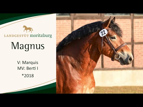 MAGNUS v. Marquis - Berti I 2023