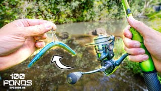 THIS LURE Works In EVERY POND On The Planet! (100 Ponds Finale)