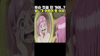👉보니가 어른이 된 이유! #onepiece #원피스