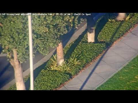 Live webcam of Disneyland Cam