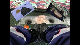Ловля корюшки зимой на финском заливе