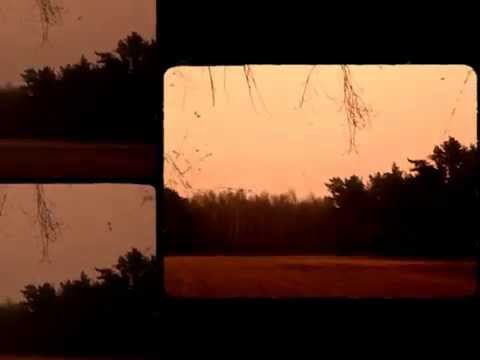 Freaky Friday for Forest Field – Rock Company
