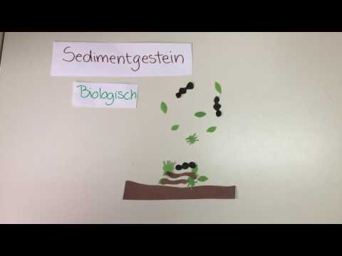 Kreislauf der Gesteine/ Stop Motion Film