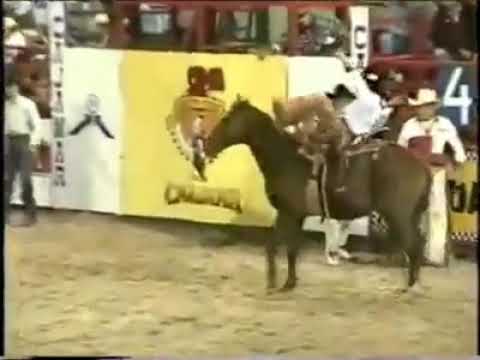 Antonio Calheiros Rodeio de cajamar Ano 1996