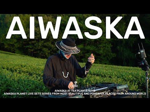 Aiwaska at Tea Plantations