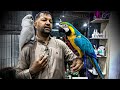 কাকাতুয়া ও ম্যাকাও পাখির দাম_Expensive Bird Collection_Exotic Bird Pi