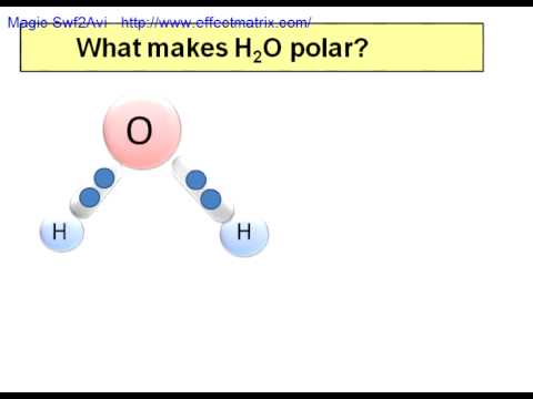 What Makes Water Polar?