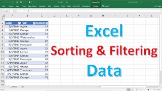 Excel Sorting and Filtering Data