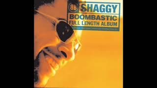 Shaggy - Boombastic 1 hour