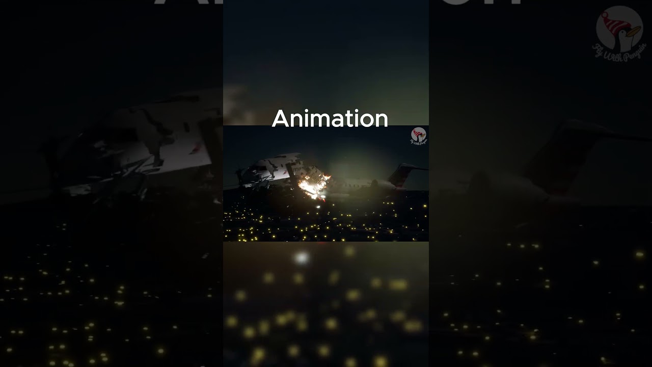 Animation vs. Real Life - 2025 Potomac River Mid-Air Collision #airdisasters #planecrash