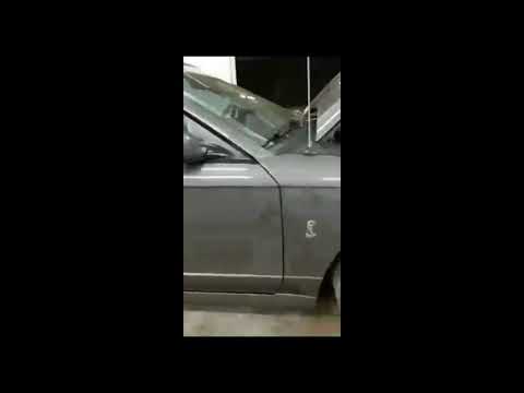 2003 Ford Mustang Cobra (CC-1195549) for sale in Breckenridge, Minnesota