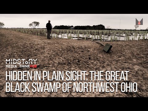 Hidden in Plain Sight: The Great Black Swamp of Northwest Ohio