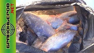 Зимняя рыбалка в шумихе на квх