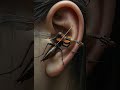Mosquito Sound In Night Mosquito Machar Funnyvideo