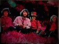 COTTON FIELDS - Cover 2nd take - Creedence ...