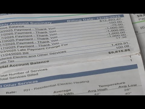 Concerns raised over potential AES acquisition by BlackRock