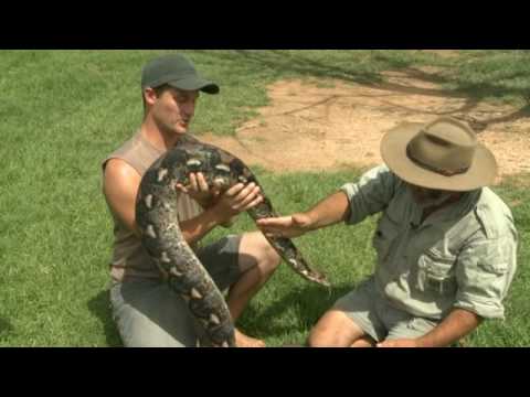 Rob Bredl & Tim Bredl -  A snake in the gr-arse!