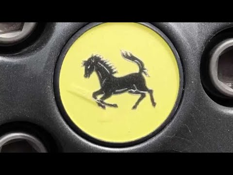 VIDEO. La 30e édition des 500 Ferrari contre le cancer en cinq chiffres