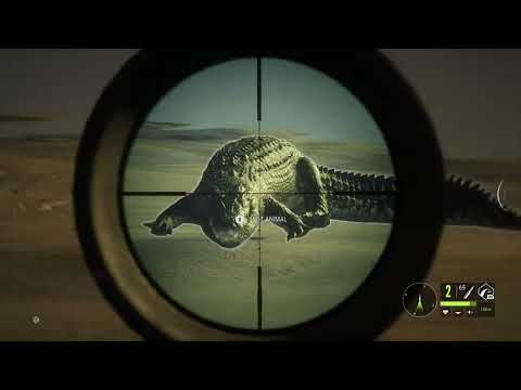Salt Water Crocodile Guide - Emerald Coast Australia - theHunter Call Of The Wild.