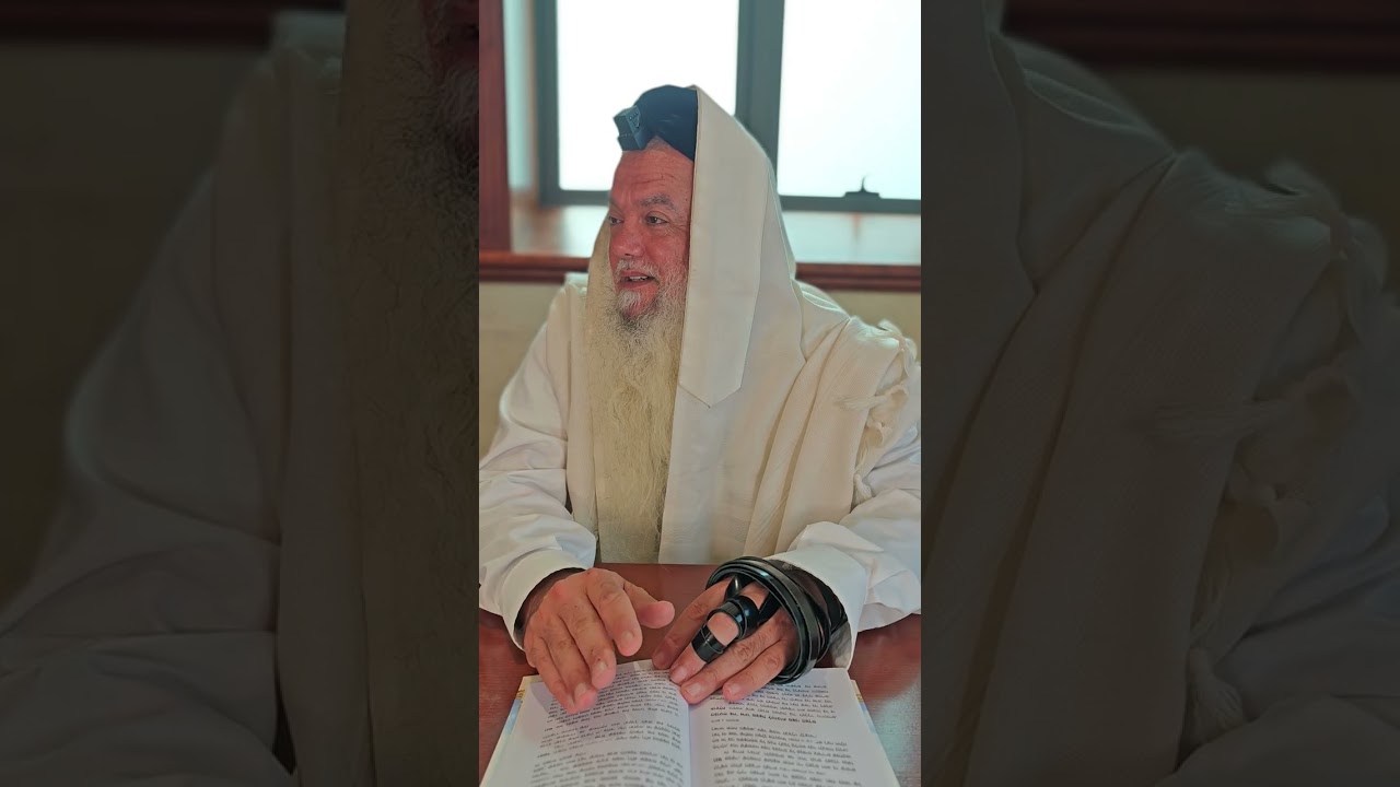 שער הביטחון היומי | סבב שני - פרק 16
