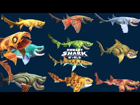 ALL HEIDI SHARKS FAMILY! - Hungry Shark World