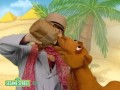 Sesame Street Gina The Vet