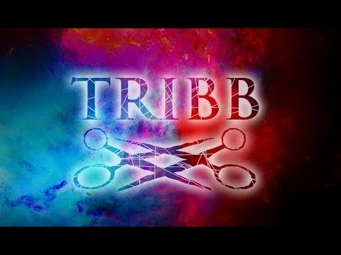 TRIBB - I Gotta Split
