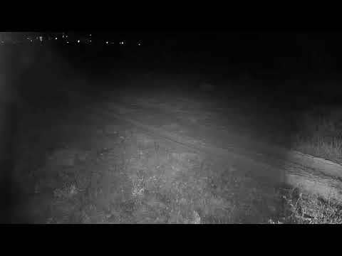 Djuma Private Game Reserve Live Stream