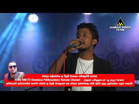 ඩිලයිටඩ් සහ නිව් මෙලඩි