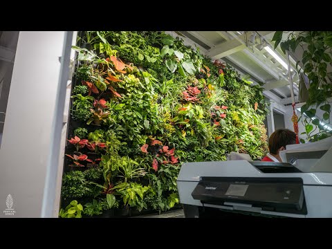 our🌱Products — HyGro™Wall IV