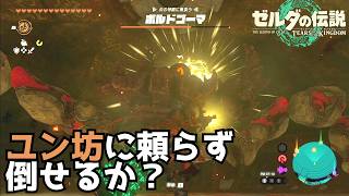 【ティアキン】ユン坊に頼らずボルドゴーマ戦【Tears of the Kingdom】
