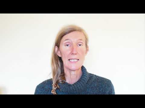 differentiel autiste ou hypersensible 4 la gêne sonore 2 processus internes differents